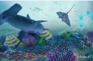 赏金国际vip登录入口免费版