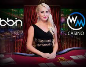 赏金国际vip登录入口手机版